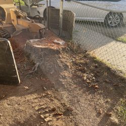 Stump Grinding 
