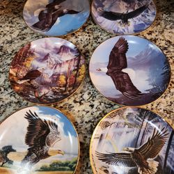 6 Collectible Wildlife Plates. One Low Price 
