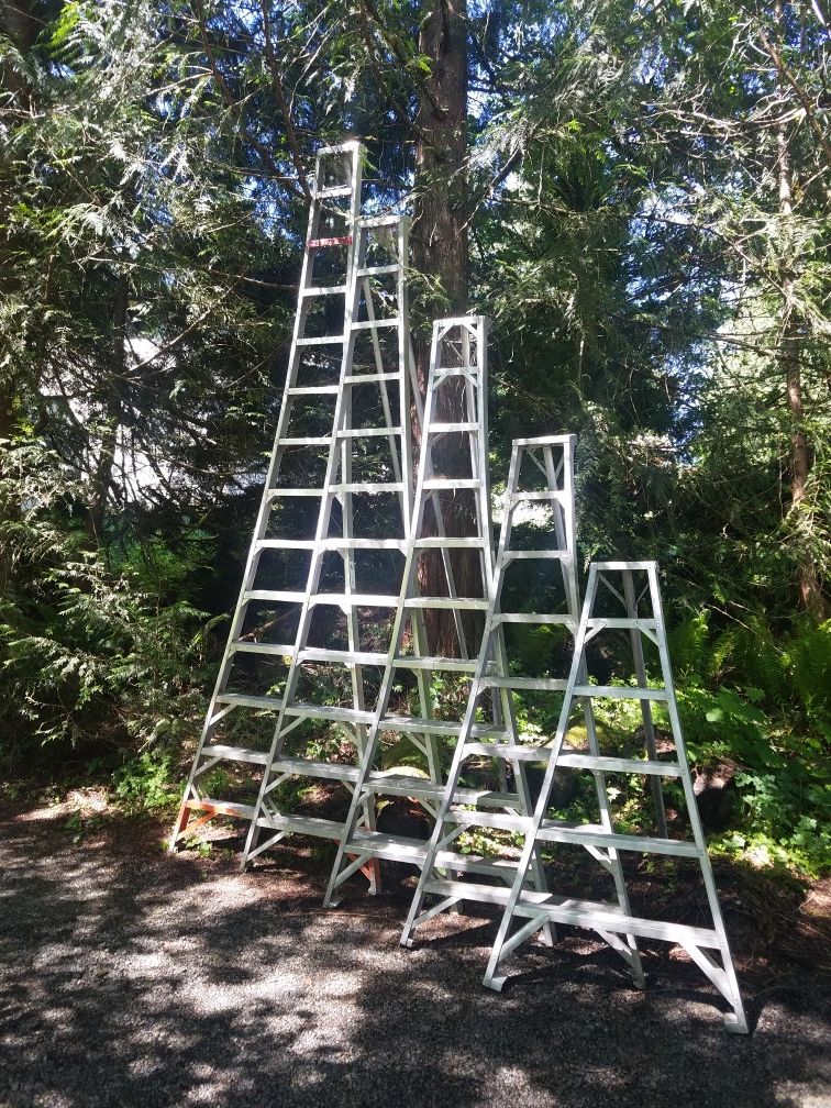 Used aluminum orchard ladders for Sale in Issaquah, WA OfferUp