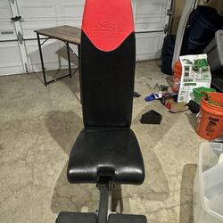 Bowflex Dumbbell Bench