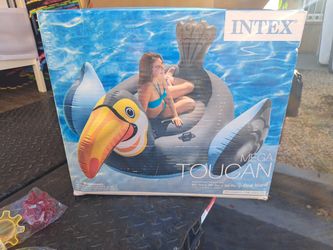 Adult Size Tucan Pool 15dlrs 