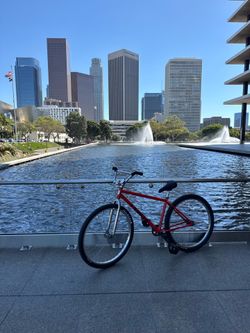 Street 29er