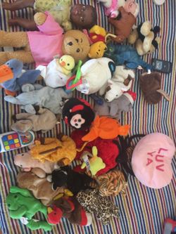 Beanie babies