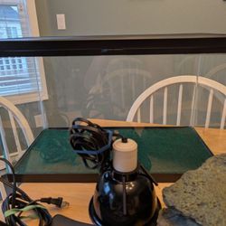 Reptile Supplies
