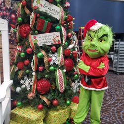 The GRINCH Mascot Costume 