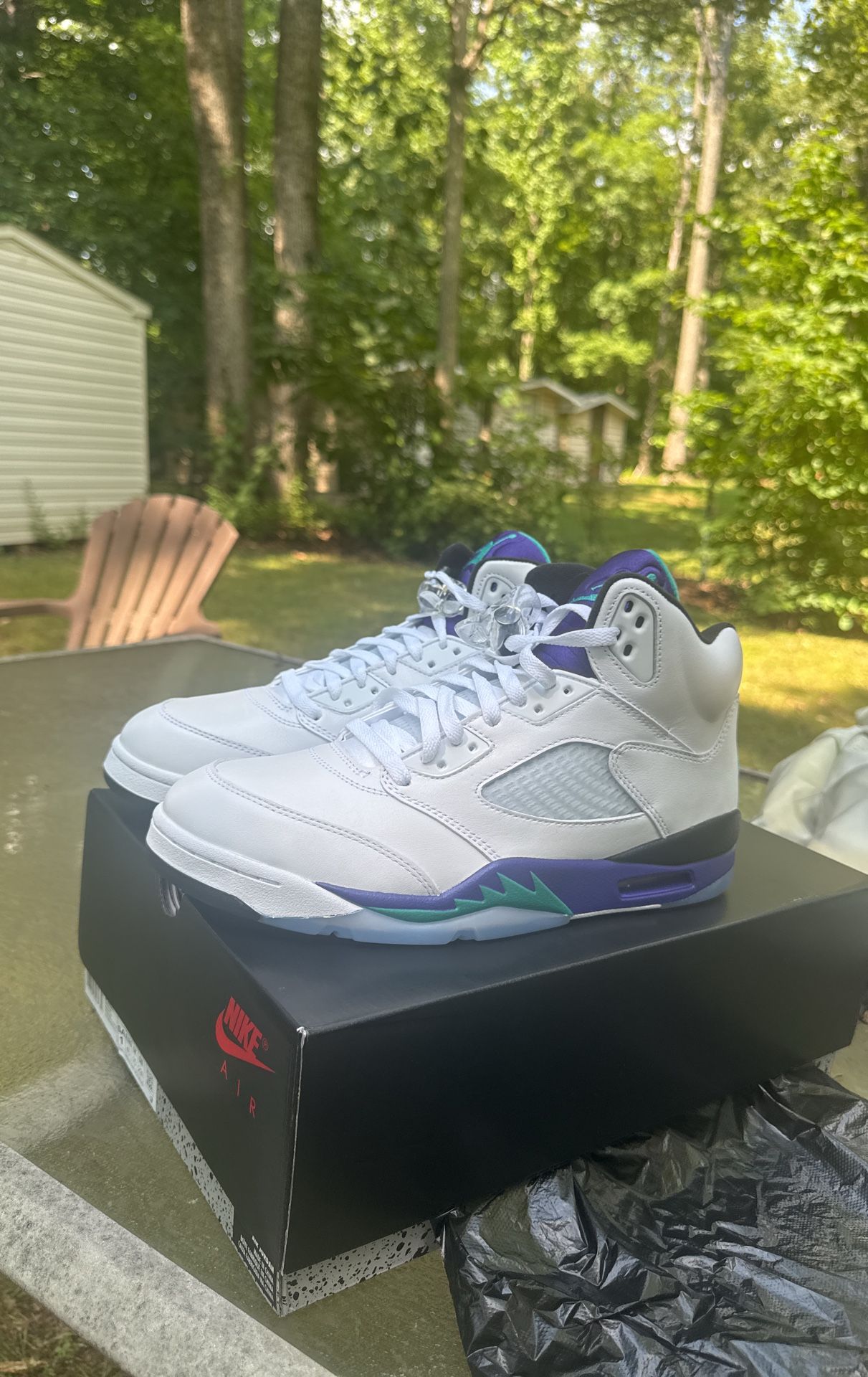 Grape 5 Air Jordans Size 11