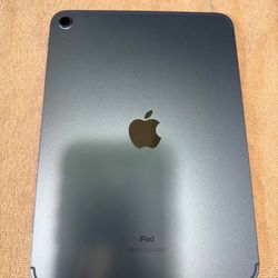 iPad With Logitech Case 