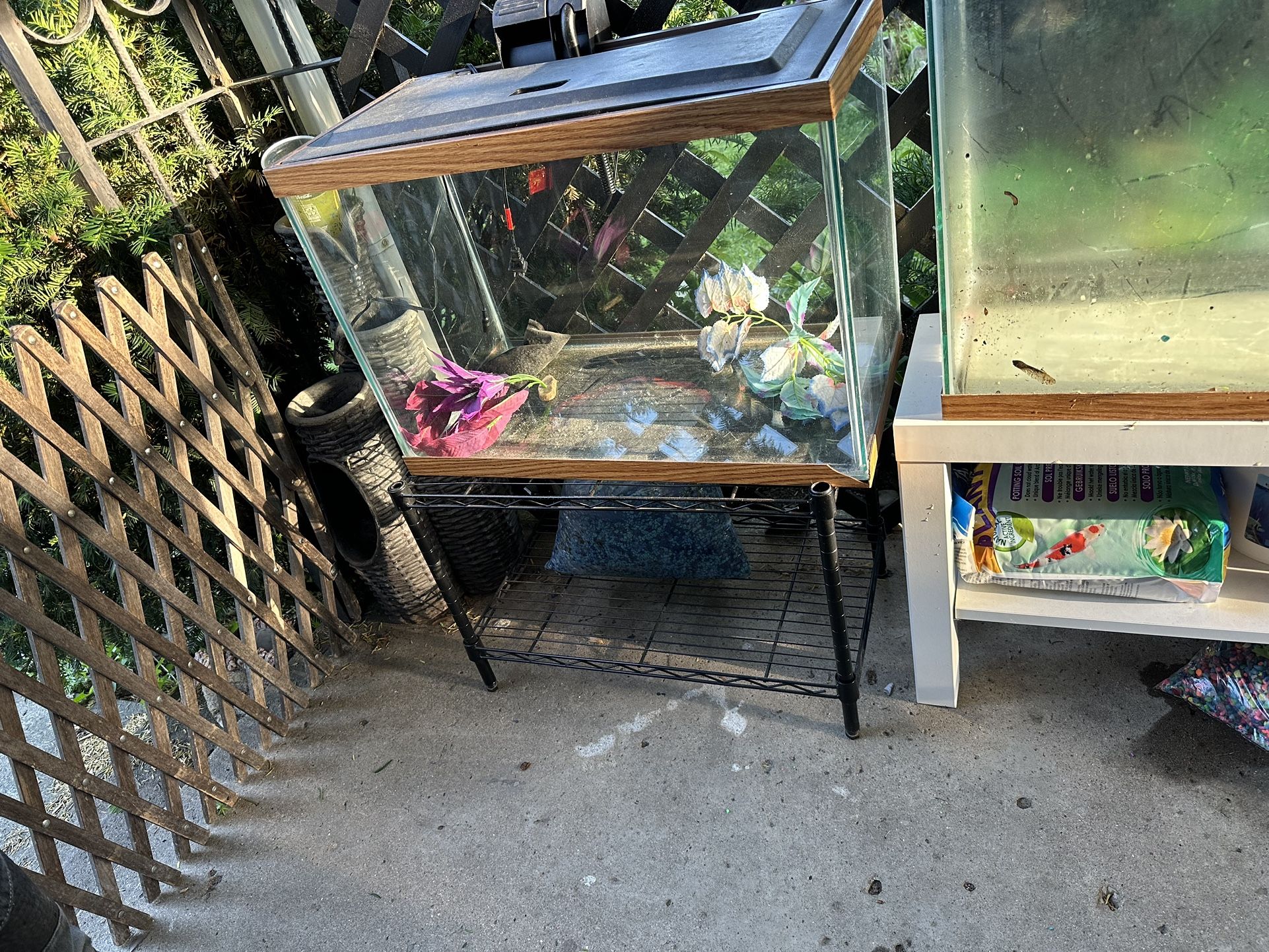 tank 35 inch 