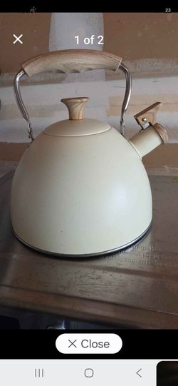 Just Teazen Stainless Steel Whistling Tea Kettle in a cream/beige finish