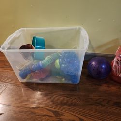 Hamster Equipment