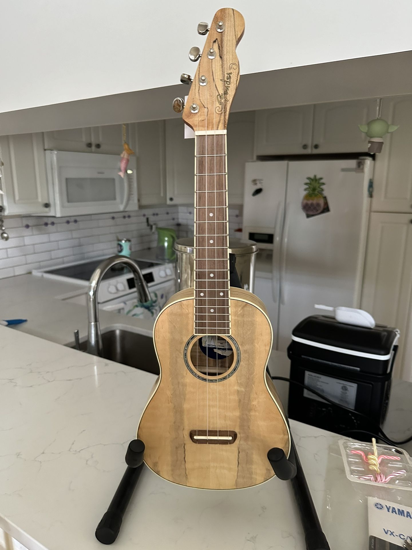 Fender Zuma Concert Ukulele 