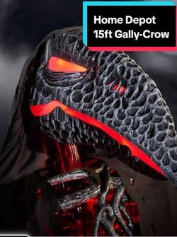 15 ft Gally crow