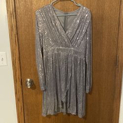 Silver Sequin Dress