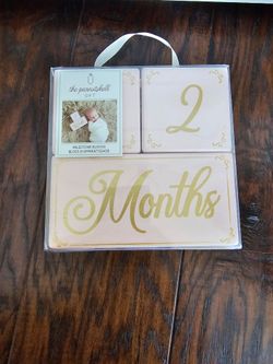 Baby Milestone Blocks Photo Prop
