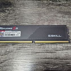 One Ripjaws S5 DDR5 32gb Ram stick