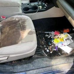 🧼 Vehicle Shine Like New Outside + Whole Interior 🧽 