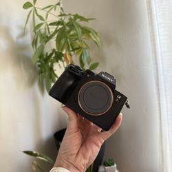 Sony A7Riii