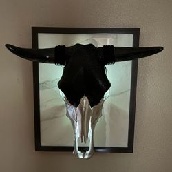 Raiders inspired Genuine bull skull