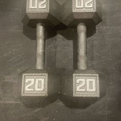 20 Lb Dumbbells