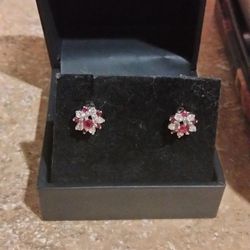 Ruby/Diamond Pair Of Earrings. 