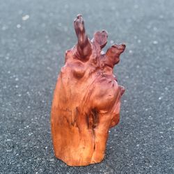 Cypress Knee Art Wood Sculpture 16” Unique Natural Branch Vintage Mid Century