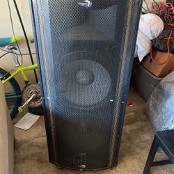 Dolphin speaker