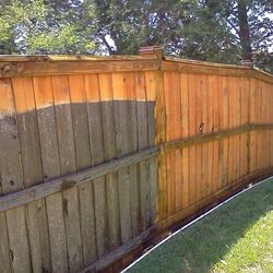 Fence Cleaning 
