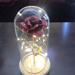 Rosa Con Luces