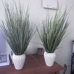 Two Artificial Indoor Plant