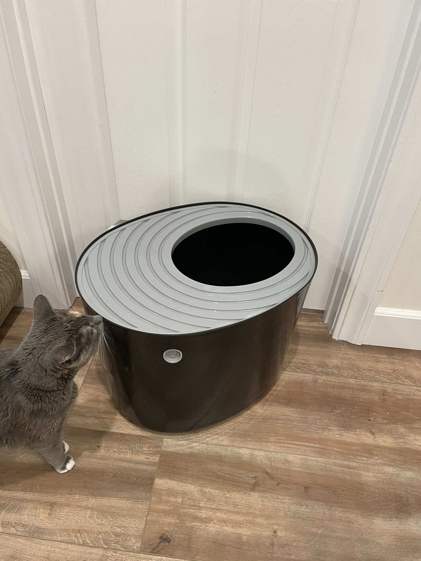 Top Entry Litter Box
