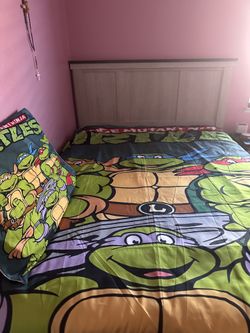 Ninja turtles bed cover size queen