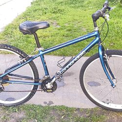 Bicicleta de montaña