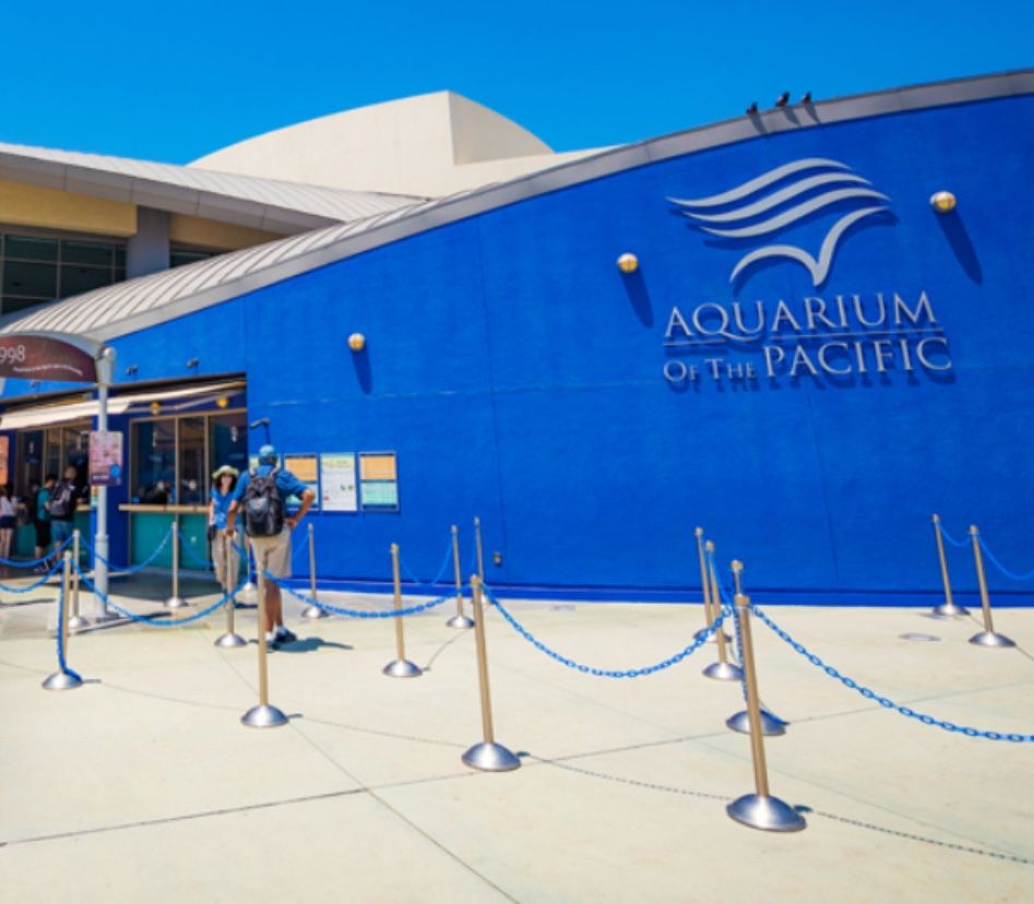 Aquarium Of The Pacific