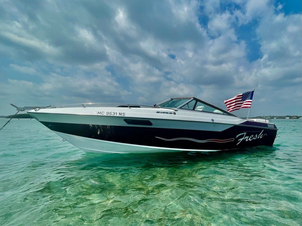 1986 Wellcraft Nova 2 454