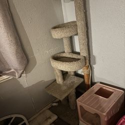 Cat Tower And Litter Box Used Good Condition 