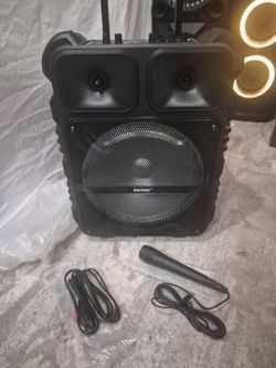 Bosbos Panda P-11 12" Portable Bluetooth Karaoke Speaker with Mic