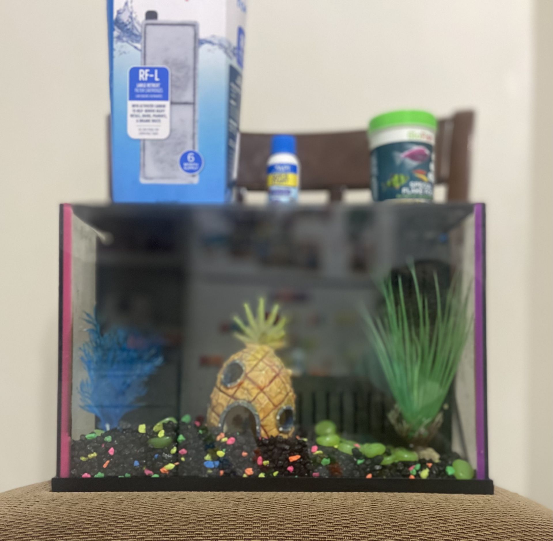 Fish Tank