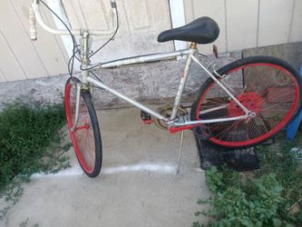 24" ROODY BIKE NEW TIRES