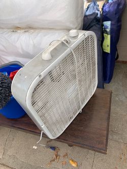 Fan