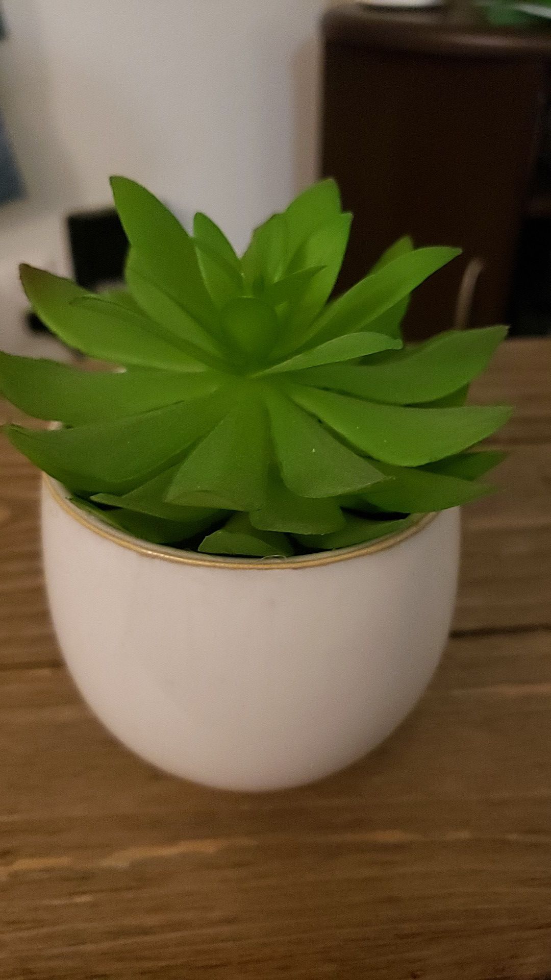 Faux succulent plant. About 5.5 inches tall.