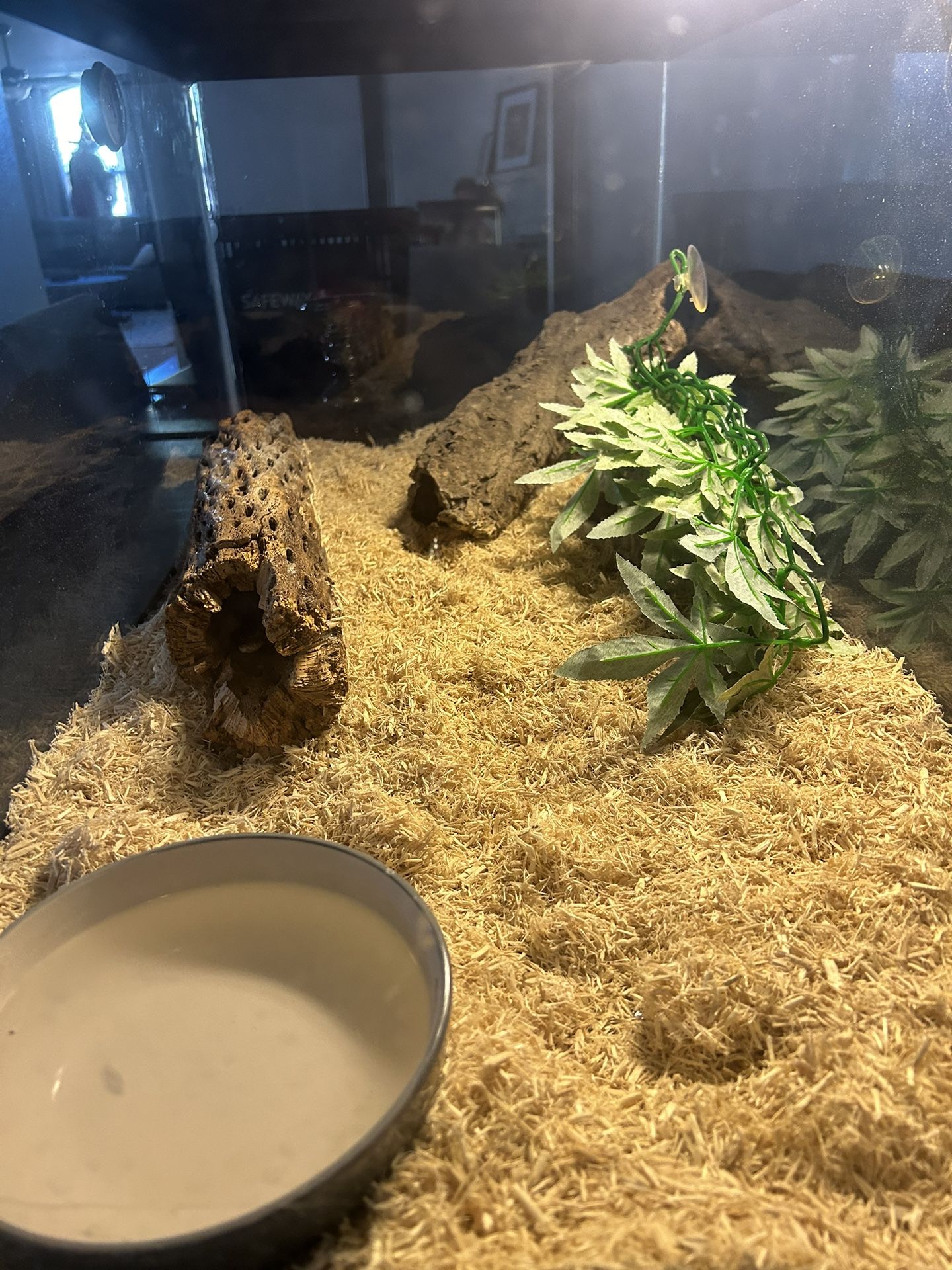 Aquarium-Snake tank-heat Lamp-cover