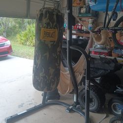 Everlast Punching Bag And Stand