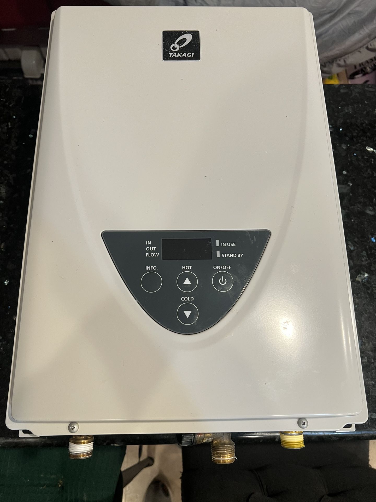 Takagi tankless water heater