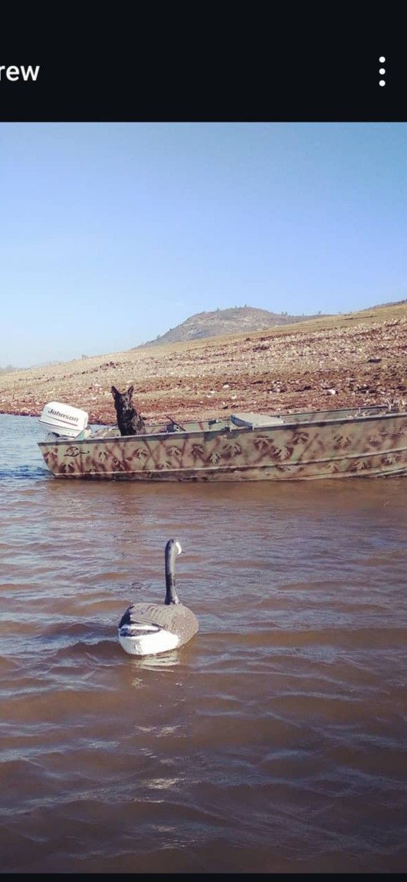 16ft Gregor Aluminum Boat Camouflage