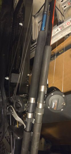 Fishing poles lot