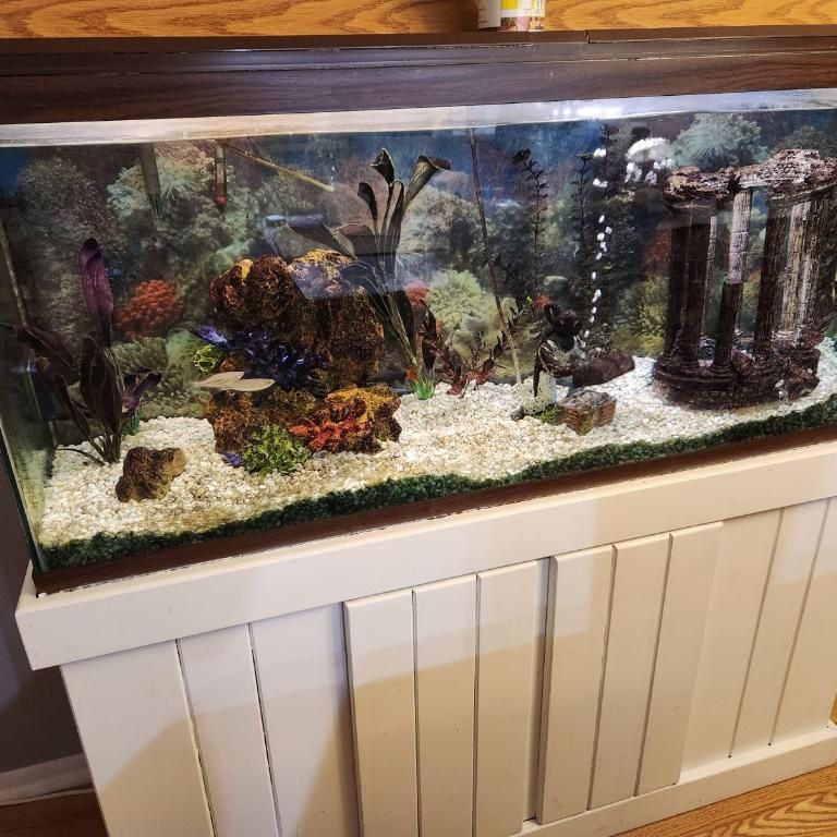 50 gallon fish tank accessories Aqua Dream Aquarium Redwood gallon fish tanks Moasis 50 Gallon Aquarium Stand