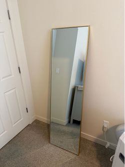 Mirror 64 1/2 Tall x 18 1/2 Wide