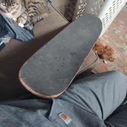 Skateboard With Independent Trucks 