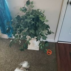 Fake Plant