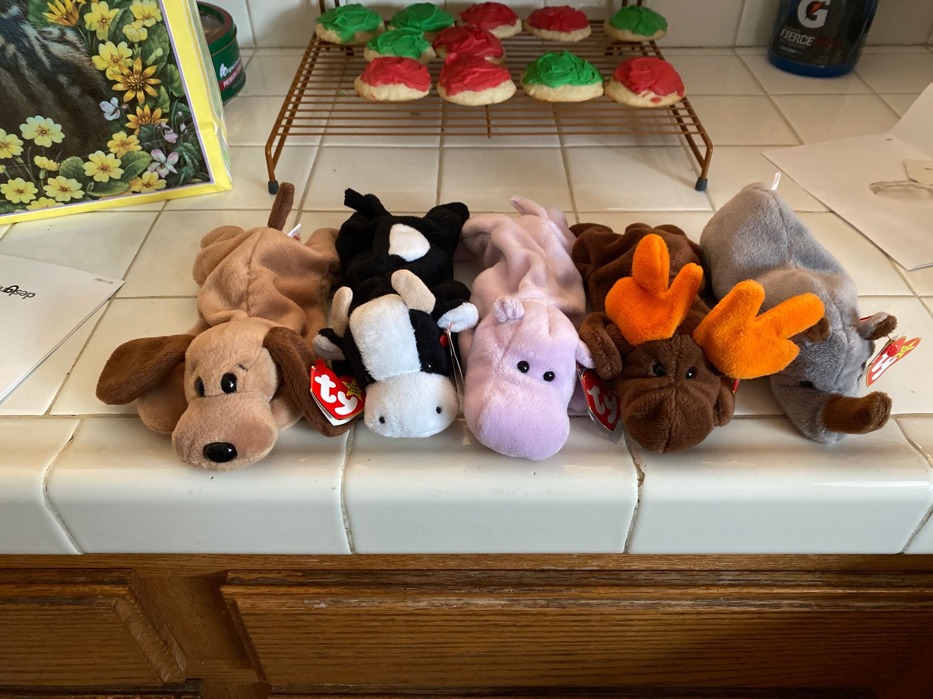 5 original beanie babies. Bones, Daisy, Happy, Chocolate, Spike